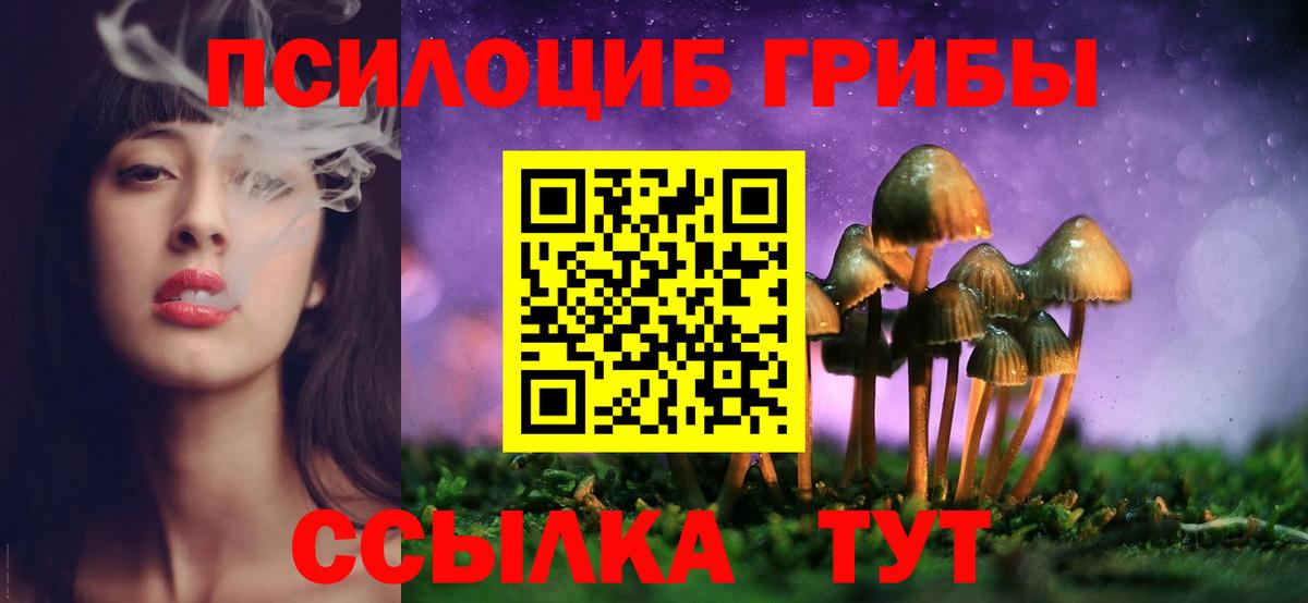 Псилоцибиновые грибы прущие грибы Балашов