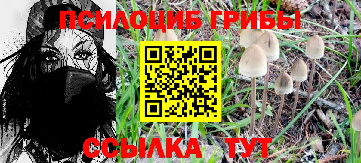 Балашов  Псилоцибиновые грибы Magic Shrooms  Вход с VPN 